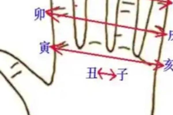 探索地支冲多对命运的影响