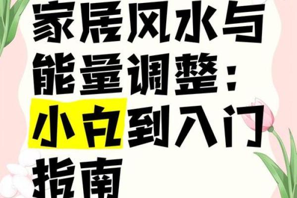 风水学入门：如何通过水元素提升家居气场