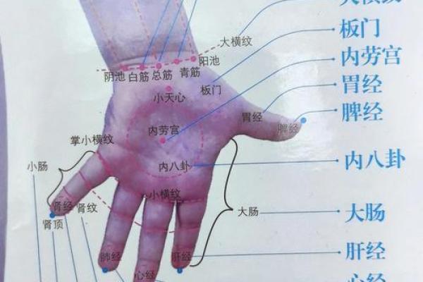 掌中乾坤，揭秘你的运势轨迹
