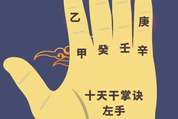 掌中乾坤，揭秘你的运势轨迹