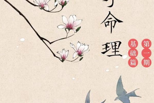 冉五行：探索五行文化的奥秘与智慧