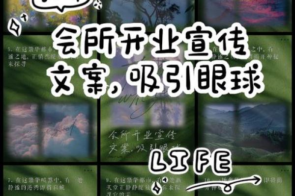 如何为娱乐会所公司起一个吸引眼球的名字