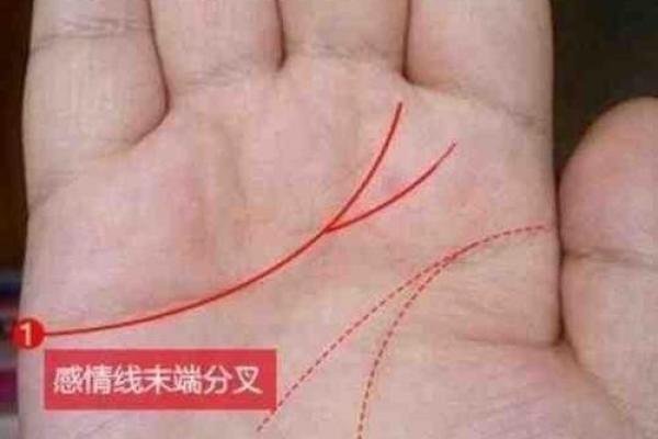 手相揭秘：不测线预示的惊人命运