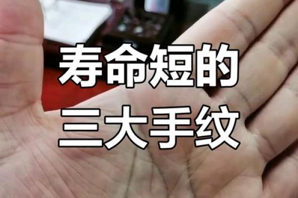拇指短手，运势惊人！揭秘短手相的惊人秘密
