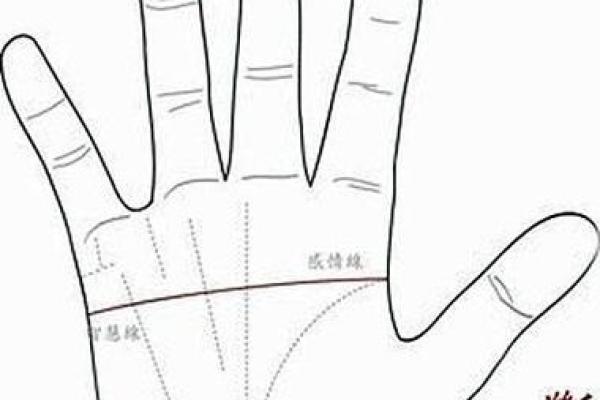 神秘掌纹揭秘：左手断掌男人的独特魅力