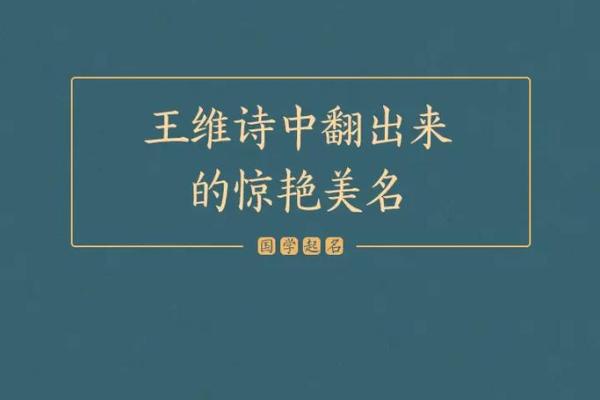 风尚鸡宝宝美名大盘点