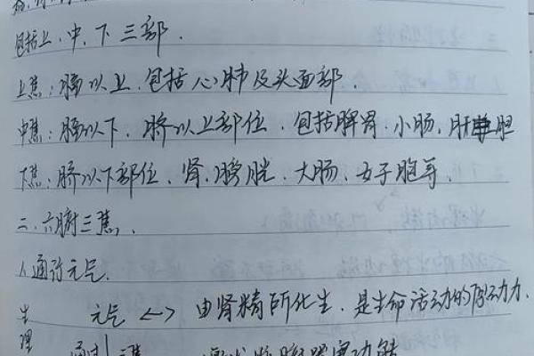 探讨地支中的丁火藏象