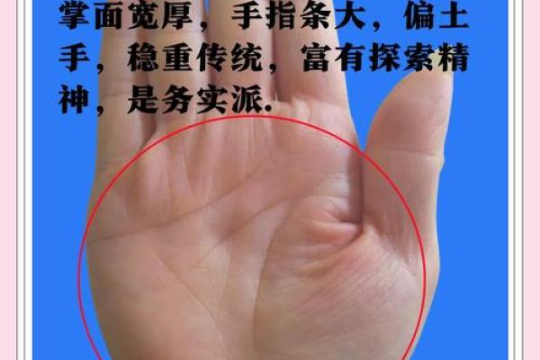 一招看手相，洞察人生运势，你敢尝试吗？