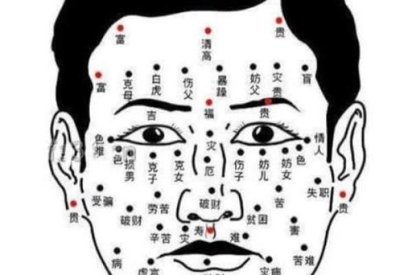 额头的形状与运势解析