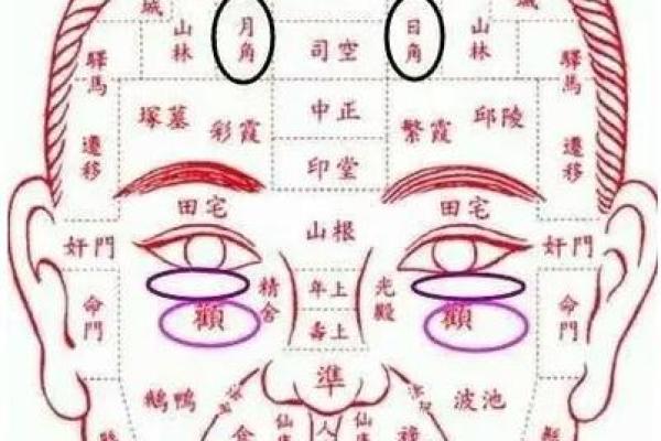 额头的形状与运势解析
