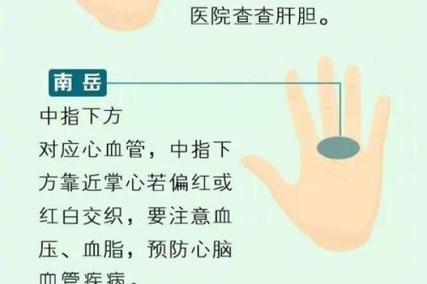 疾病手相揭秘：揭秘身体隐患的神秘信号