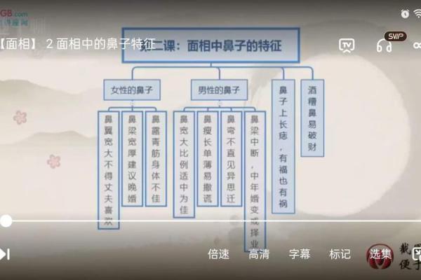 识人于微：领导干部面相洞察的艺术