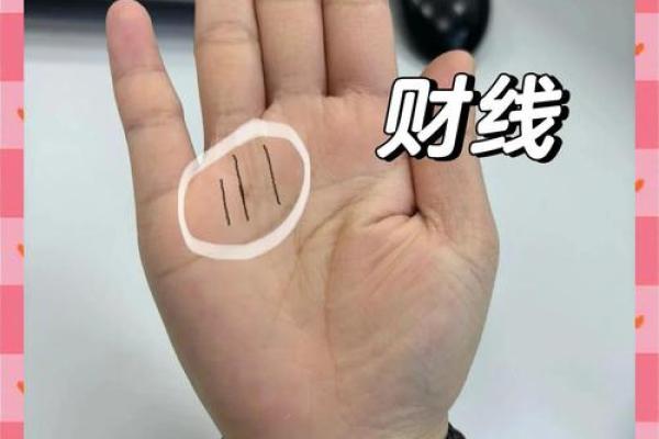 手相火相大解析：解锁你的财富与激情