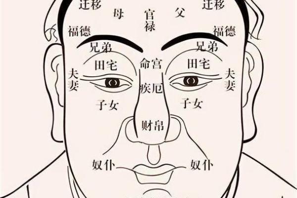 眉眼如画，鼻准丰满：揭秘面相中的富贵吉祥密码