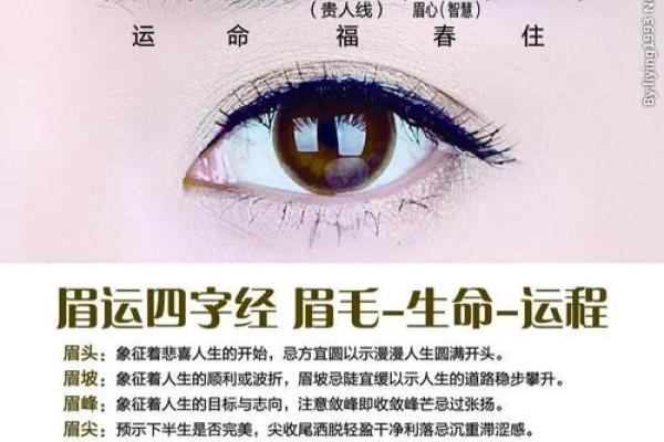 紧促眉宇显命运：揭秘面相中的眉相奥秘