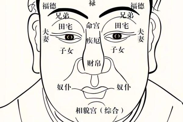 紧促眉宇显命运：揭秘面相中的眉相奥秘