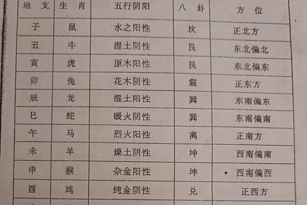 十二地支：性格与命运的交织