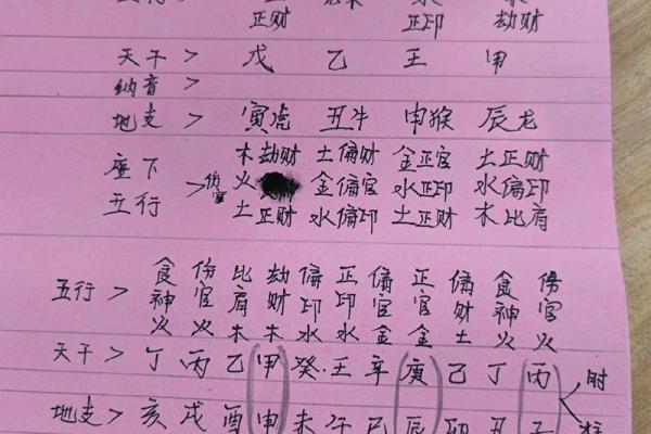 十二地支：性格与命运的交织