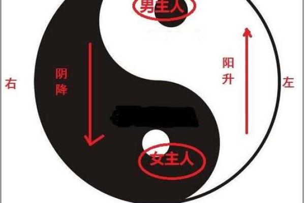 风水布局助力生男丁的关键技巧