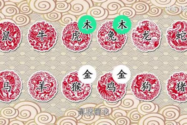 揭秘茗五行的属相