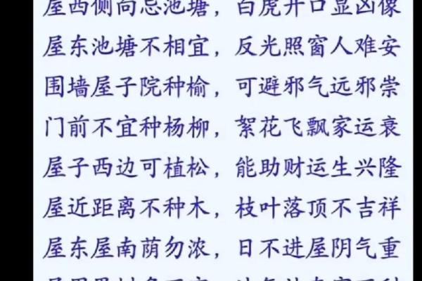 阳宅风水自学篇全集视频：轻松入门，掌握居家风水秘籍