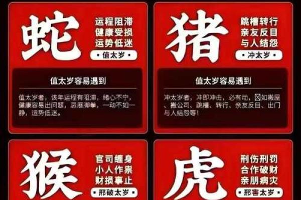 如何解读蛇年生辰八字的独特特点