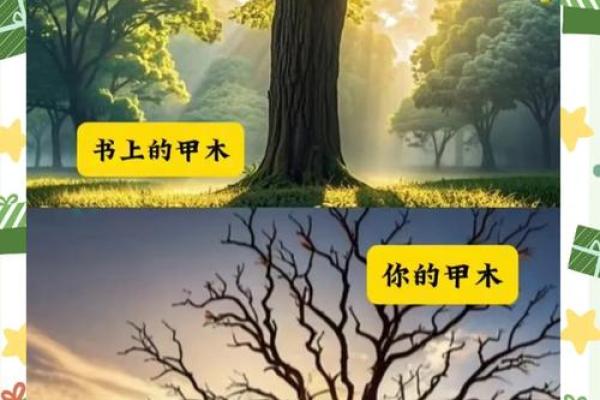 天干地支算婚姻：揭开命运的神秘面纱