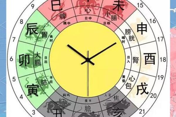 钱五行属什么？揭示其背后的秘密