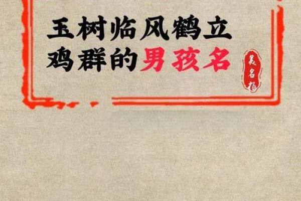 鸡宝宝男孩儿名字创意集