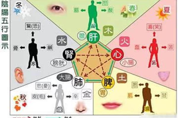 辣椒五行属火，如何影响健康