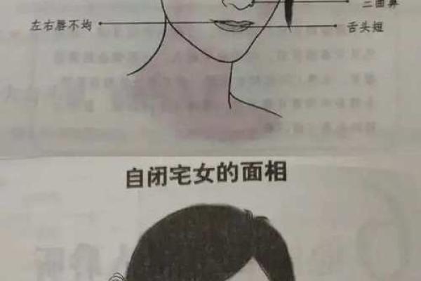 下巴半圆纹面相，财富运势双丰收的神秘面相解析！