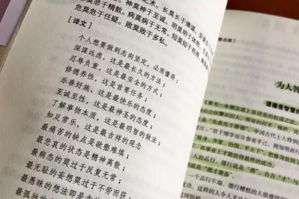 诸葛欧阳：智慧与仁爱的完美融合，命运之神的青睐使者