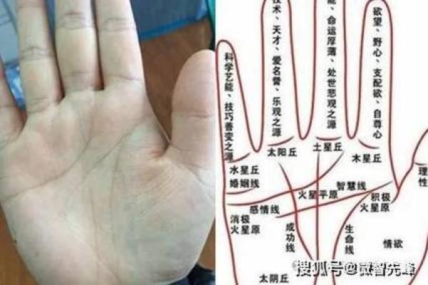 携手共进，手相揭秘夫妻默契之谜