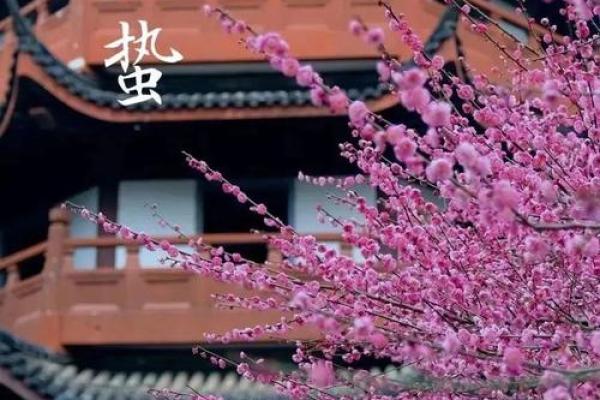 惊蛰运势大解析：抓住机会，逆袭人生！
