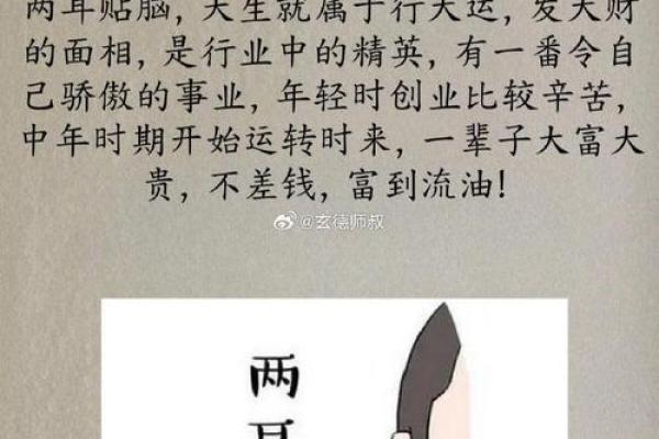 耳垂胀显富贵命，揭秘面相中的黄金标准！