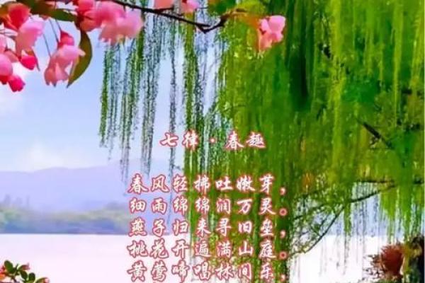 何春华：春暖花开，生机勃勃，运势亨通之美名