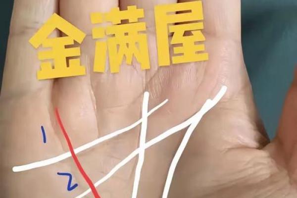 解锁手相暗语：灾祸纹预示着哪些不幸？