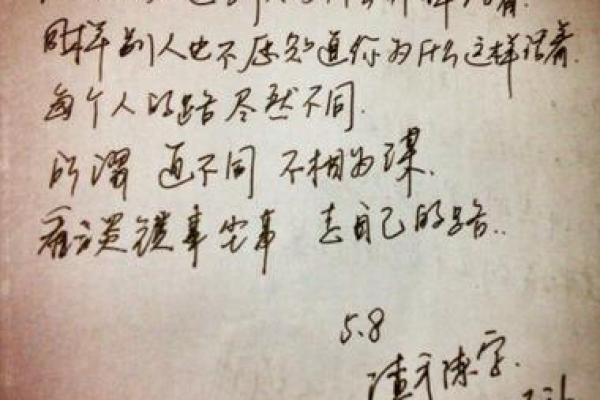 陈爽朗：阳光洒满人生，爽朗人生路