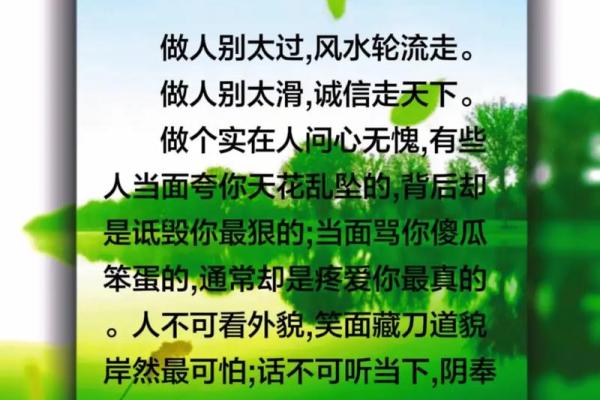 揭秘：史上最热门的风水布局秘籍，必看爆款