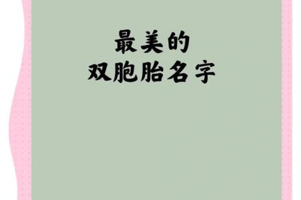 双胞胎名字的创意与选择技巧