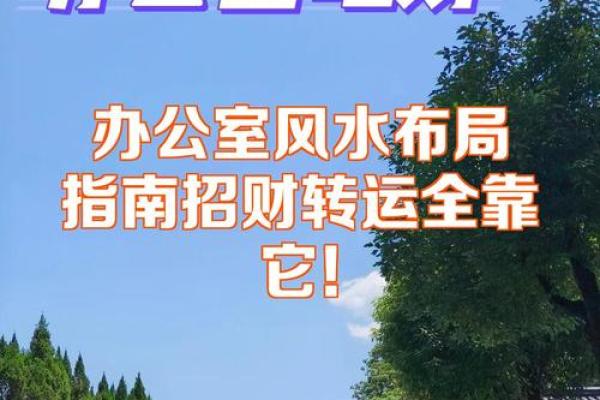 打造旺财办公室！2015年风水布局必看指南