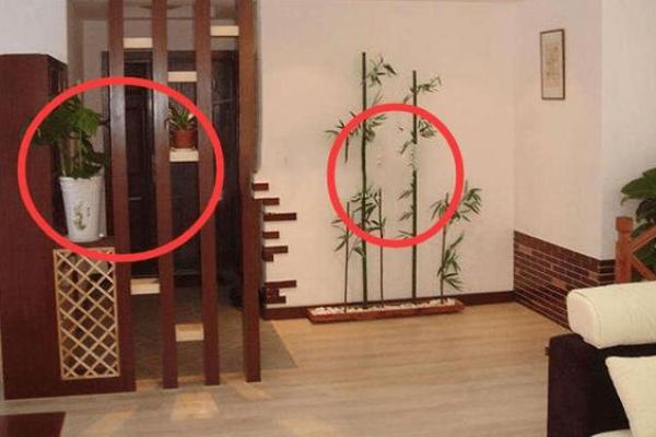 风水学中的竹叶:进门摆放有何风水讲究 风水学中的竹叶:进门摆放有何风水讲究