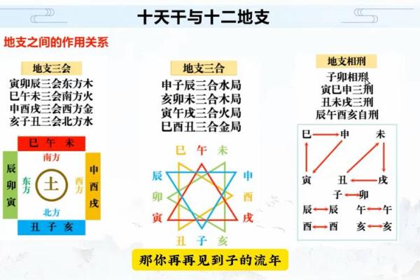 如何通过十二地支了解命运走势