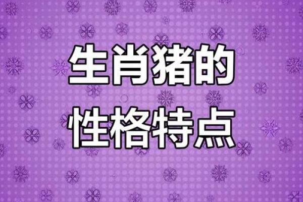 属猪的人运势解析