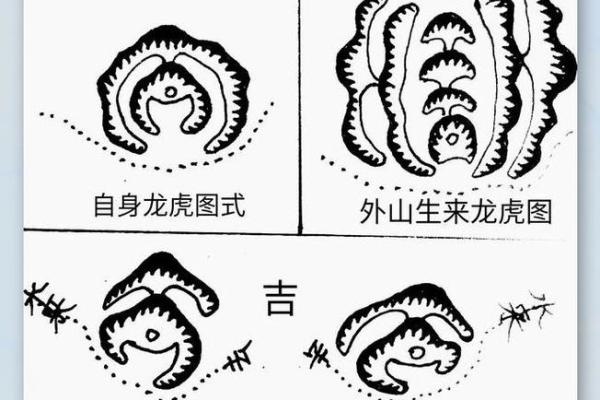风水学中的龙爪之地如何影响家居布局与运势