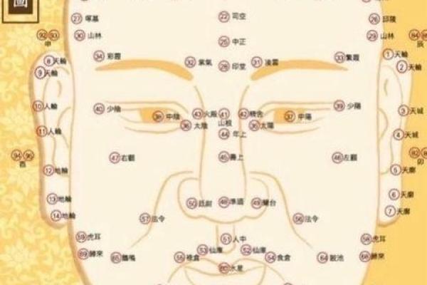 单边法令纹揭示的隐秘面相秘密