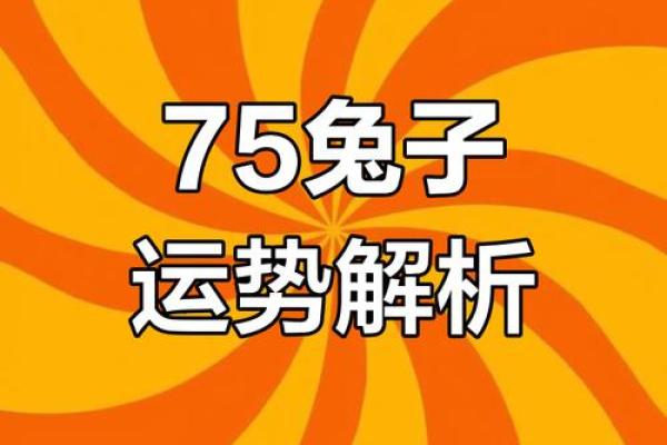 兔子运势解析：运程大揭秘