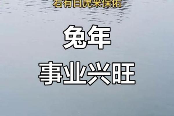 兔子运势解析：运程大揭秘