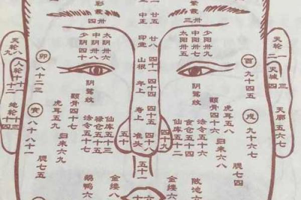 手中藏乾坤，麻衣手相算命，揭秘你的运势密码！