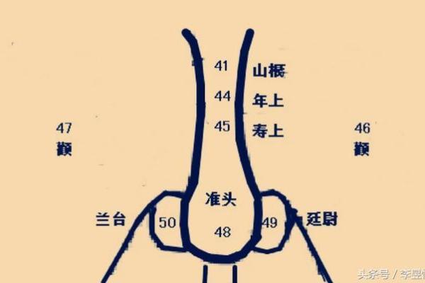 面相揭秘：黑字隐藏的运势秘密，你了解多少？